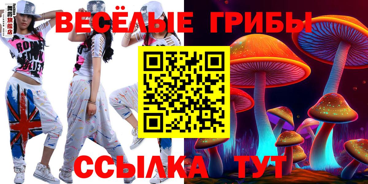 Ивантеевка  Галлюциногенные грибы Magic Shrooms  Вход с VPN  Псилоцибиновые грибы MAGIC MUSHROOMS 